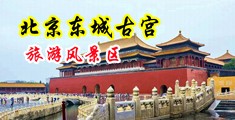大鸡巴逼的免费视频中国北京-东城古宫旅游风景区